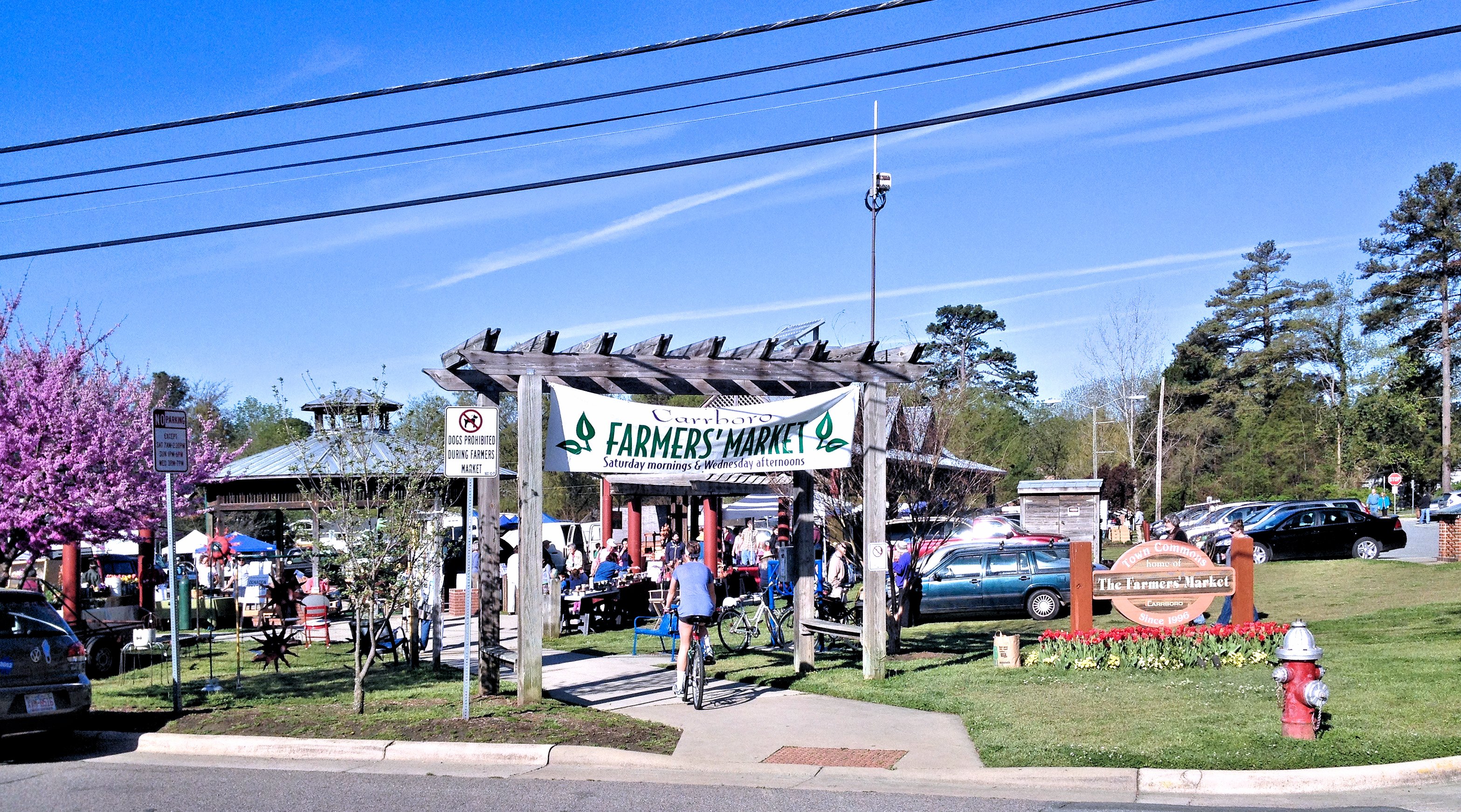 Farmer's Market